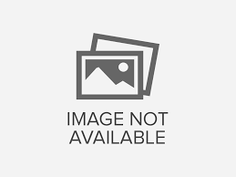 Logo Balai Pemantapan Kawasan Hutan (BPKH) Wilayah XI