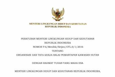 PERATURAN MENTERI LINGKUNGAN HIDUP DAN KEHUTANAN REPUBLIK INDONESIA NOMOR P.6/Menlhk/Setjen/OTL.0/1/